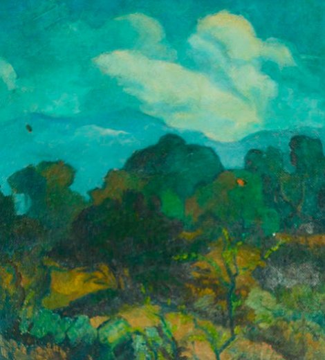 Paisaje mendocino