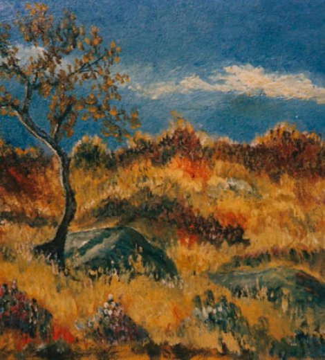 Arbolitos de las sierras