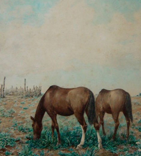 Caballos