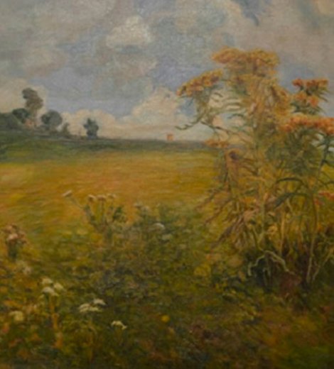 Paisaje campestre
