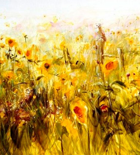 Girasoles y búhos