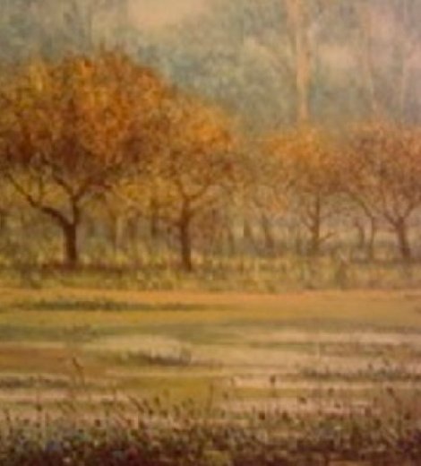 Paisaje arbolado