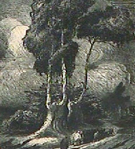 Alfonso Bosco