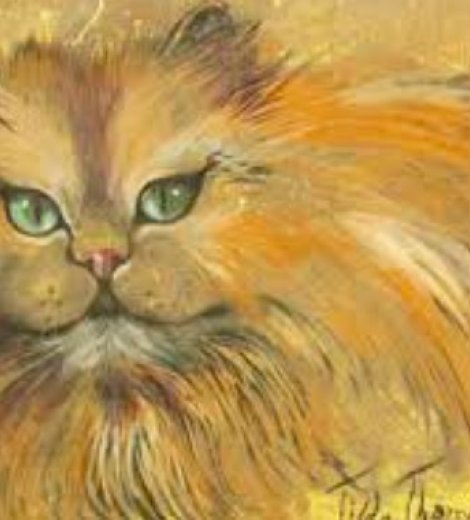 Golden pussycat