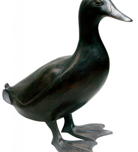 Pato