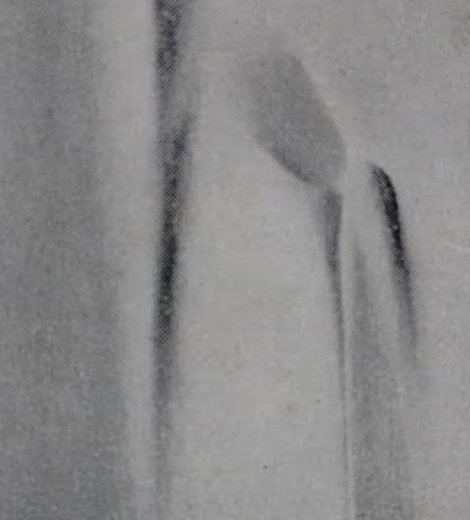 Fe