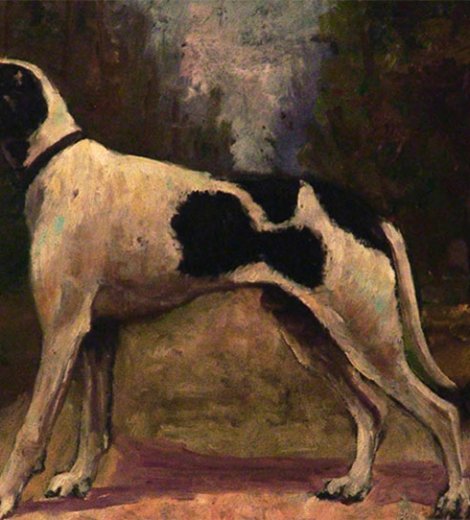 Perro de caza