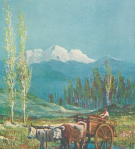 Aguatero mendocino 