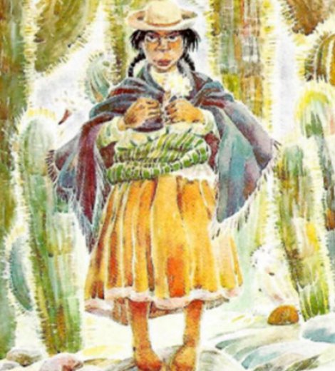 Florcita de cardón, Tilcara