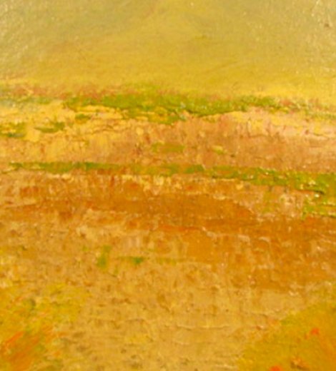Paisaje de Lobos