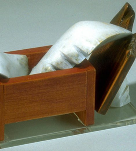 Caja llena de pájaros