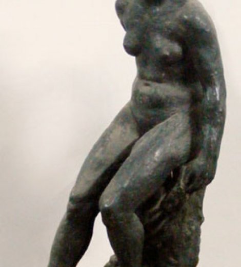 Bañista