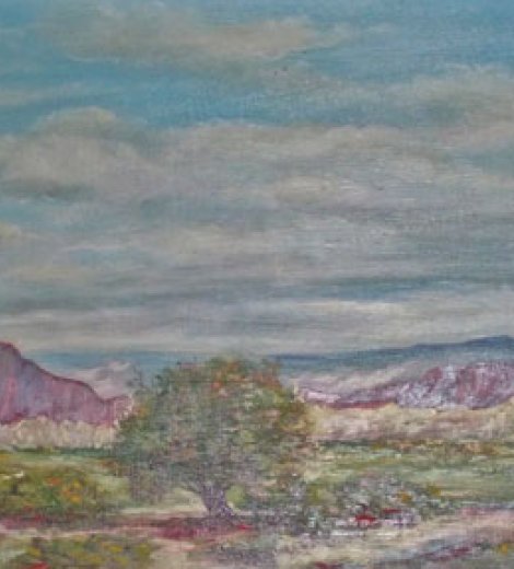 Cerro Encantado, Valles Calchaquíes