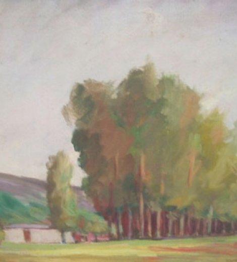 Rancho en Tandil