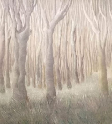 Bosque