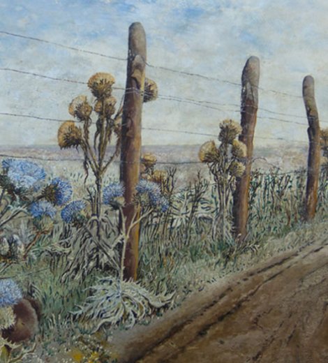 Cardos