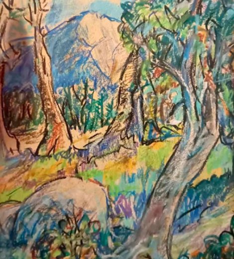 Bosque de Arrayanes