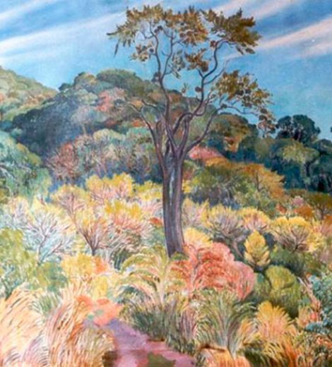 Paisaje