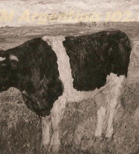 Vaca pastando