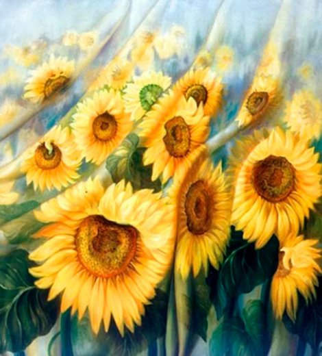 Campo de girasoles