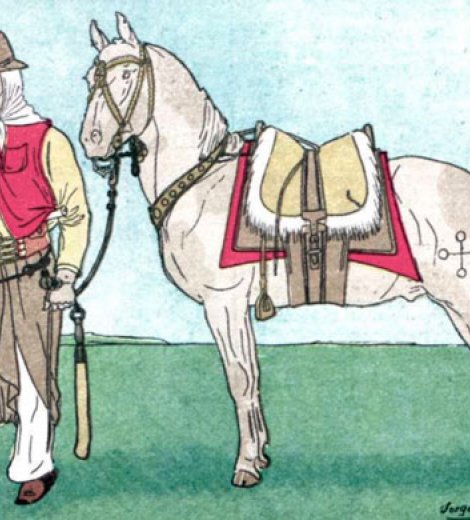 Gaucho rosista