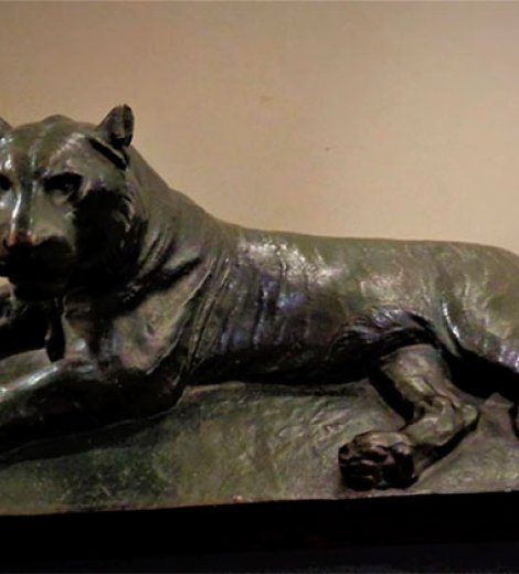 Tigre en reposo