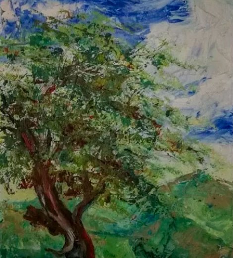 Paisaje