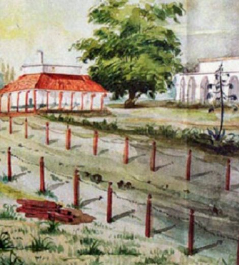 Camino de entrada a la residencia de Rosas