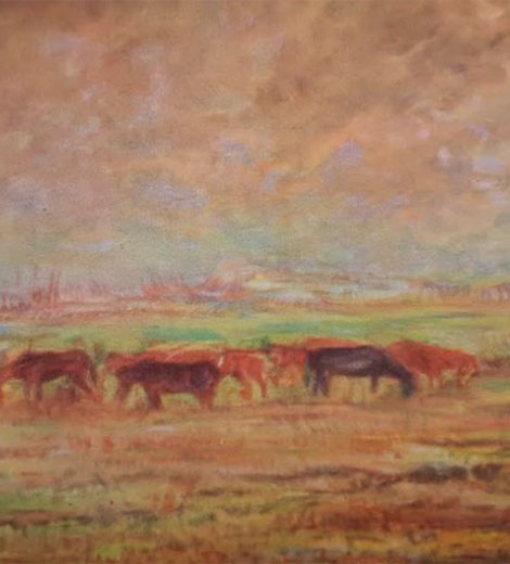Paisaje