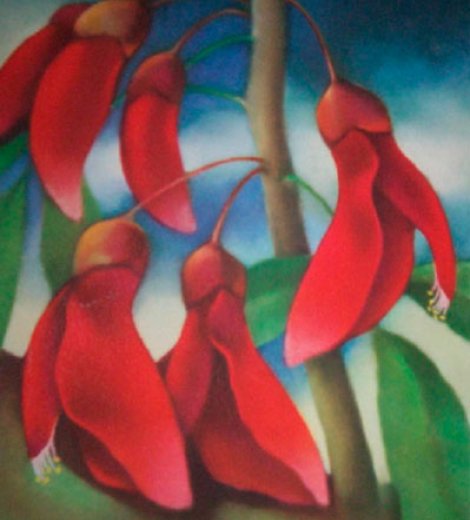 Flor de ceibo