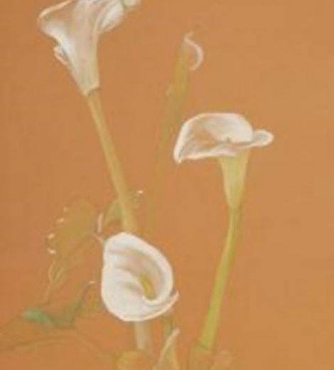 Drei callas
