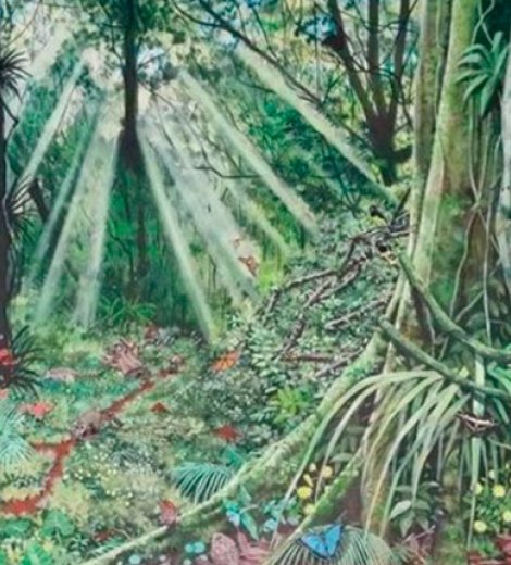 Primavera en la selva misionera