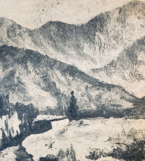 Paisaje cuyano