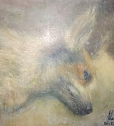 La mascota