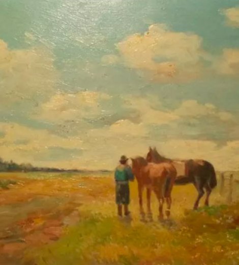 Campo bonaerense